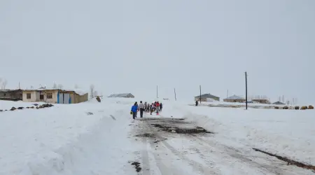 DSC_0149-TI32QXQG_6092-tr