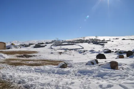 DSC_4885-L7P11G44_6496-tr