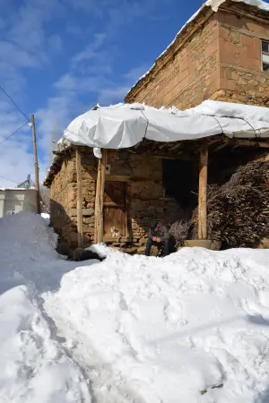 DSC_5308-L7P11G44_6496-tr